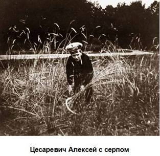Цесаревич Алексей с серпом