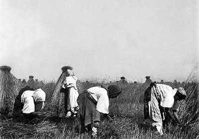 При Императоре Николае Втором в России Урожаи зерновых на 1/3 больше урожаев Аргентины, США и Канады вместе взятых При Императоре Николае Втором в России Урожаи зерновых на 1/3 больше урожаев Аргентины, США и Канады вместе взятых