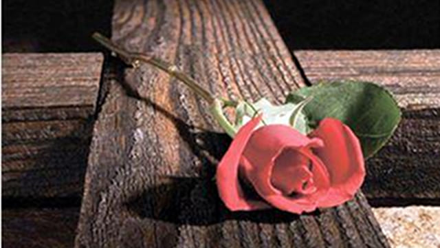 Узнайте о последнем пути Царской семьи