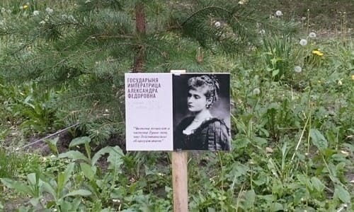 Императорский сквер в Новосибирске